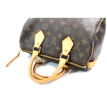 Louis Vuitton Speedy 25 Monogram