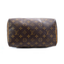 Louis Vuitton Speedy 25 Monogram