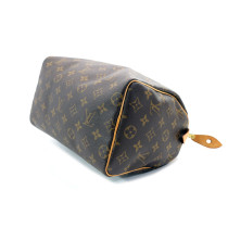 Louis Vuitton Speedy 25 Monogram