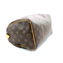 Louis Vuitton Speedy 25 Monogram