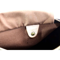 Louis Vuitton Speedy 25 Monogram