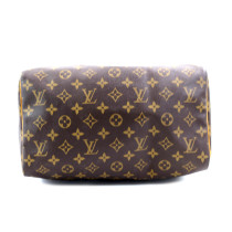 Louis Vuitton Speedy 30 Monogram