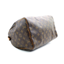Louis Vuitton Speedy 30 Monogram