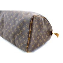 Louis Vuitton Speedy 30 Monogram