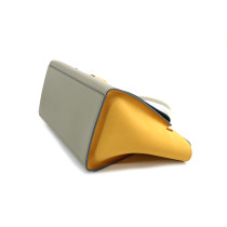 Celine Trapeze Pelle Multicolor