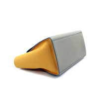 Celine Trapeze Pelle Multicolor