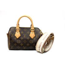 Louis Vuitton Speedy 20 Monogram