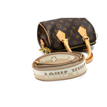 Louis Vuitton Speedy 20 Monogram