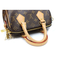 Louis Vuitton Speedy 20 Monogram