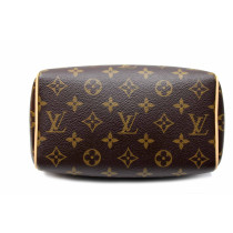 Louis Vuitton Speedy 20 Monogram