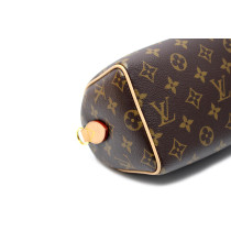 Louis Vuitton Speedy 20 Monogram