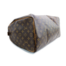 Louis Vuitton Speedy 40 Monogram