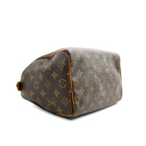 Louis Vuitton Speedy 25 Monogram