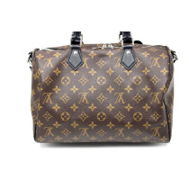 Louis Vuitton Speedy 30 Soft Durk Monogram