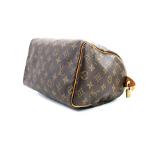 Louis Vuitton Speedy 25 Monogram