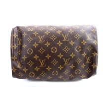 Louis Vuitton Speedy 30 Monogram