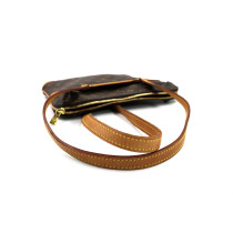 Louis Vuitton Coussin Monogram