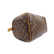 Louis Vuitton Speedy 30 Monogram