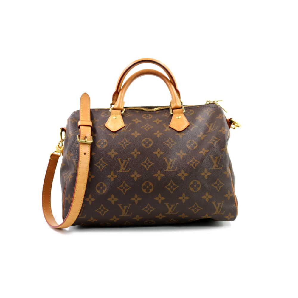 Louis Vuitton Speedy 30 Monogram