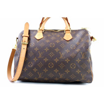 Louis Vuitton Speedy 30 Monogram