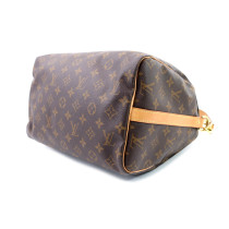 Louis Vuitton Speedy 30 Monogram