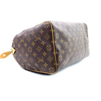 Louis Vuitton Speedy 30 Monogram