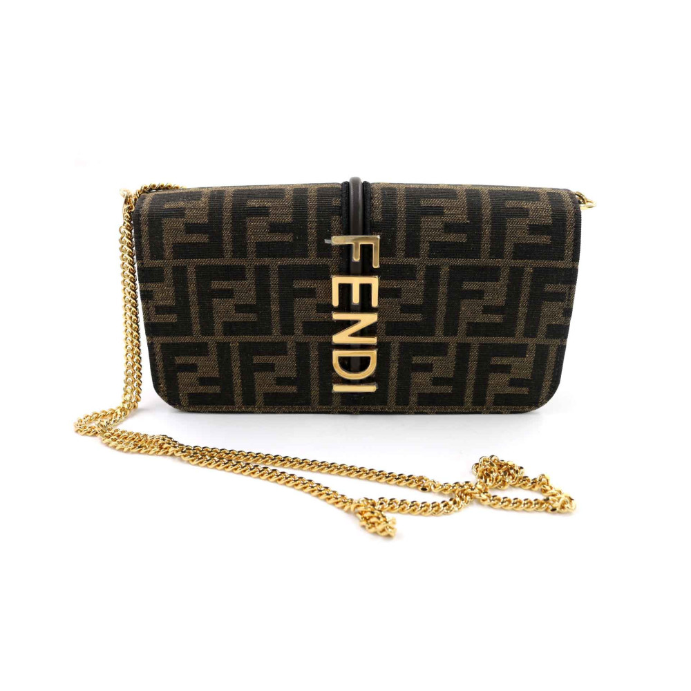 Fendi Fendigraphy Woc Zucca Marrone