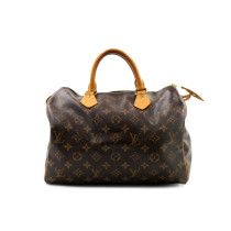 Louis Vuitton Speedy 30 Monogram