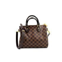 Louis Vuitton Speedy 25 Damier Ebene