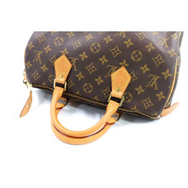 Louis Vuitton Speedy 30 Monogram