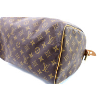 Louis Vuitton Speedy 30 Monogram