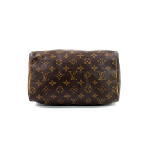 Louis Vuitton Speedy 25 Monogram