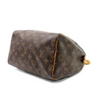 Louis Vuitton Speedy 25 Monogram
