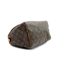 Louis Vuitton Speedy 25 Monogram