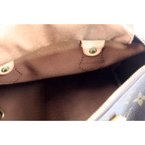 Louis Vuitton Speedy 25 Monogram