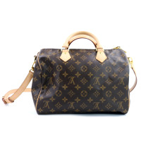 Louis Vuitton Speedy 30 Monogram