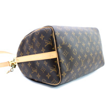 Louis Vuitton Speedy 30 Monogram