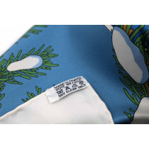 Hermes Foulard Seta Multicolor