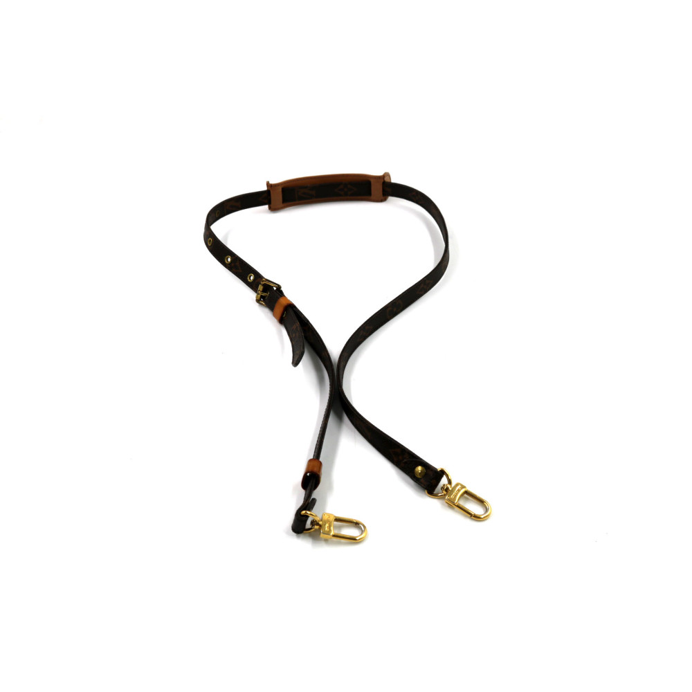 Louis Vuitton Tracolla Monogram