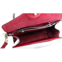 Gucci Dionysus Pelle Bordeaux