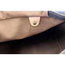 Louis Vuitton Speedy 30 Monogram