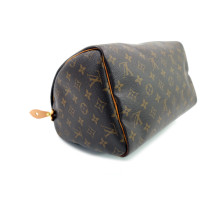 Louis Vuitton Speedy 30 Monogram
