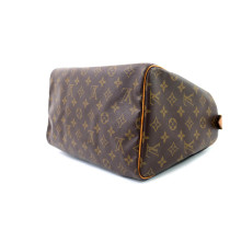 Louis Vuitton Speedy 30 Monogram