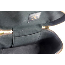 Louis Vuitton Vanity PM Monogram