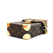 Louis Vuitton Camera Box Monogram
