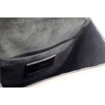 Louis Vuitton Camera Box Monogram