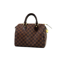 Louis Vuitton Speedy 25 Damier Ebene