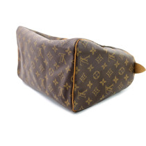 Louis Vuitton Speedy 30 Monogram