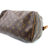Louis Vuitton Speedy 25 Monogram