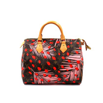 Louis Vuitton Speedy 30 Limited Monogram